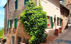 Ciliano 16